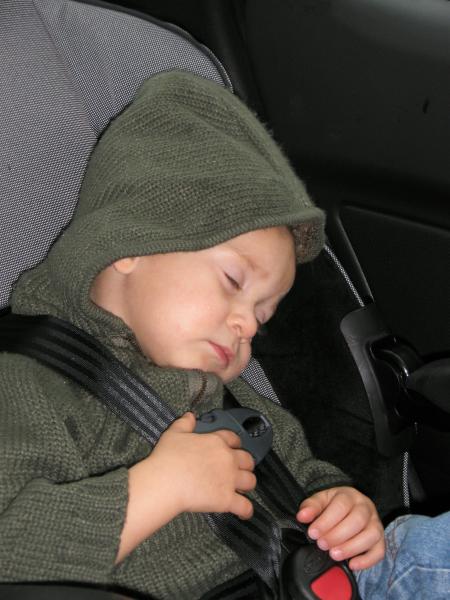 dodo bien m�rit�