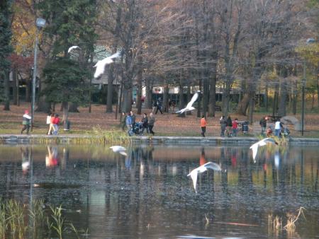 Lac aux poissons rouges!!!