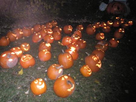 Citrouilles en folie