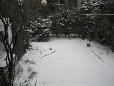Notre petit jardin sous la neige